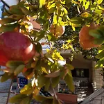 Apartman Pometo I