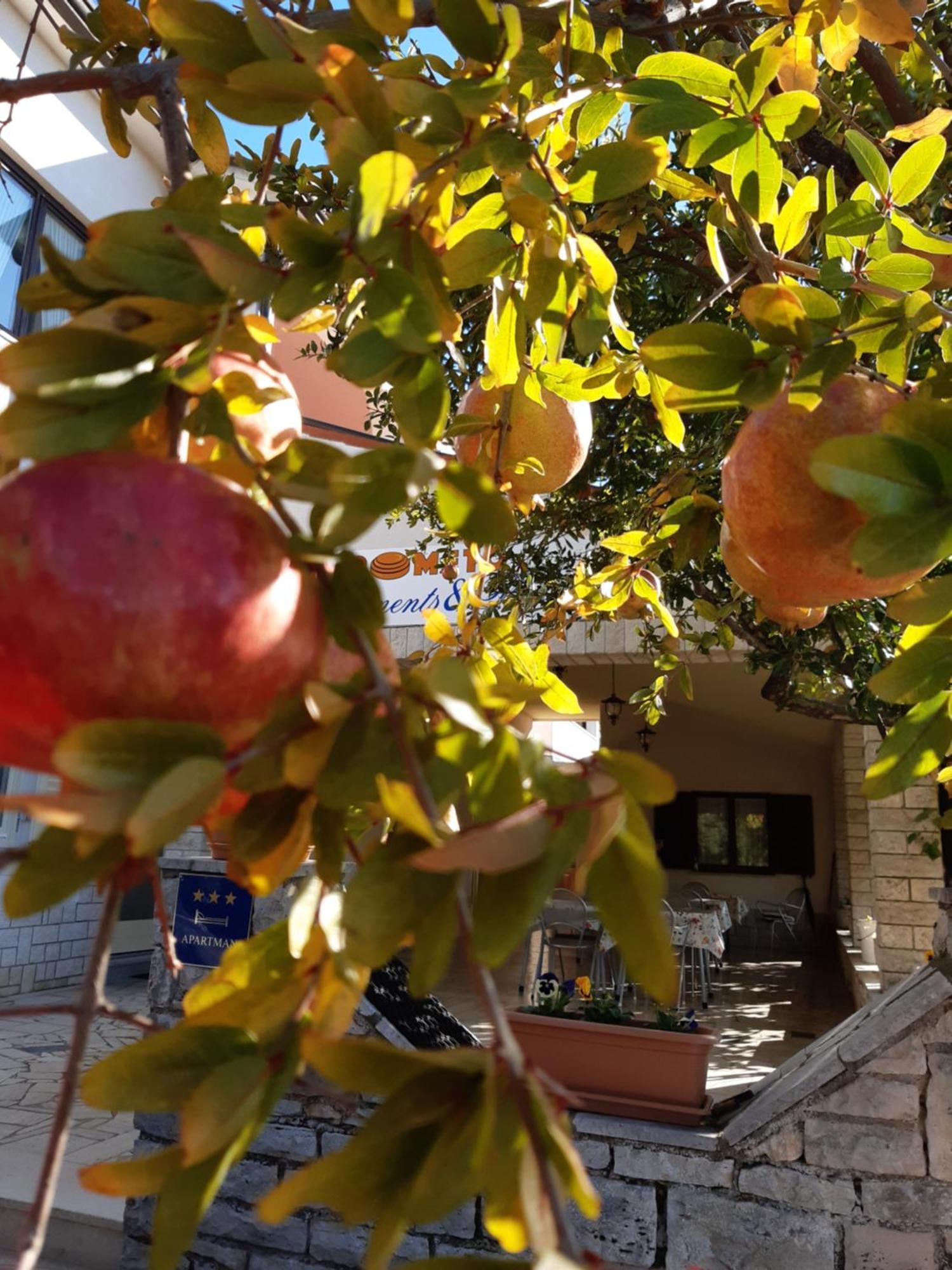 Pometo I Poreč